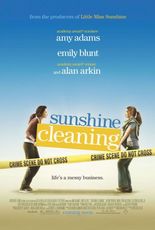 sunshinecleaning-ps-11